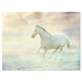 thumbnail image 2 of Fantasy White Horse - Animal Canvas Art Print, 2 of 3