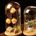 thumbnail image 3 of Cloche Dôme Créative Décorative en Verre Cloche Présentoir en Verre avec Base en Bois, 3 of 10