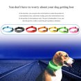 thumbnail image 4 of USB Rechargeable Luminous Pet Collar Neck Glowing LED USB Rechargeable Neck Light Flashing Collar with Webbing, Red, S, 4 of 8