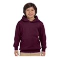 thumbnail image 1 of Hanes - Chandail à Capuchon pour Jeunes Ecosmart, 1 of 1