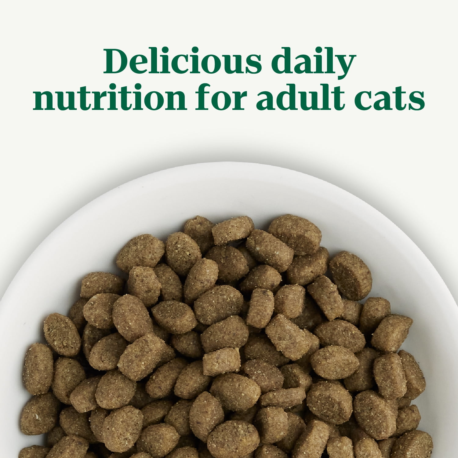 NUTRO WHOLESOME ESSENTIALS Adult Dry Cat Food Salmon & Brown Rice Recipe, 2.27kg Bag
