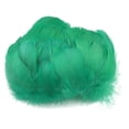 thumbnail image 4 of XZNGL 100pc Colorful Feathers 6-12 Cm In Small Feather DIY Decoration, 4 of 9