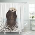 thumbnail image 1 of SUTTOM Mains Mignon Adorable Duveteux Joues de Loutre Reflets d'Eau Rideau de Douche 66x72 Pouces, 1 of 1