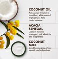 thumbnail image 4 of 100 Percent Virgin Coconut Oil Daily Hydration Styling Gel by Shea Moisture for Unisex - 8 oz Gel, 4 of 5