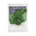 thumbnail image 2 of Dunlop Tortex Standard .88mm Green Guitar Pick - 72 Pack, 2 of 5