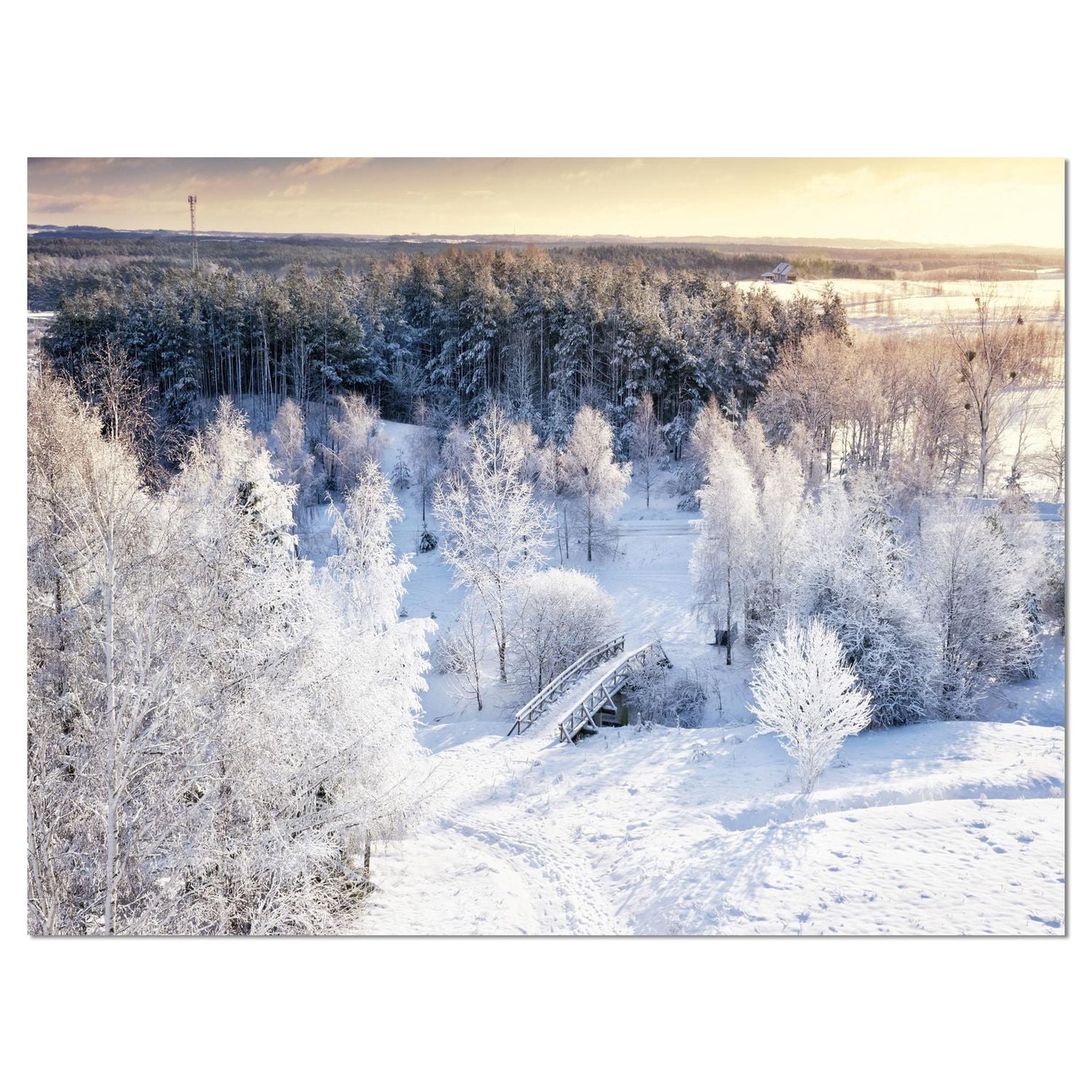 Designart Beau panorama d'hiver Art mural sur toile