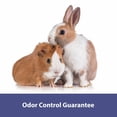 thumbnail image 2 of Kaytee Forti-Diet Clean Comfort Natural Bedding, 2 of 8