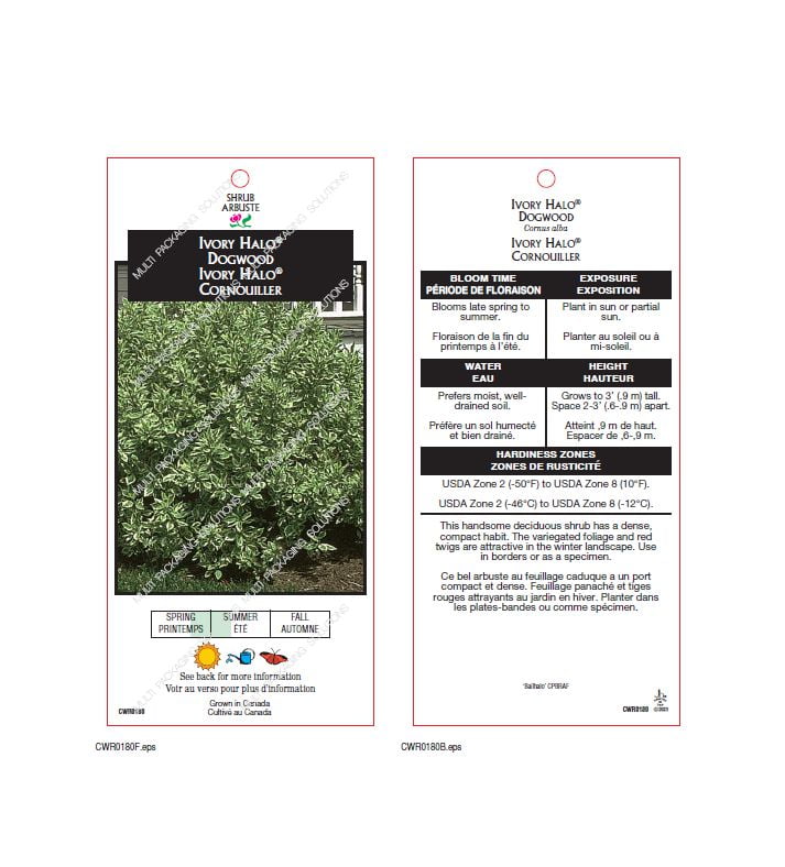 Ensemble de arbuste 6 contenants de 1 gallon jardin dautomne