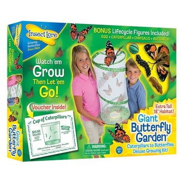 Giant Butterfly Garden