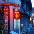 thumbnail image 3 of Solar Lanterns Chinese Japanese Print Hanging Lamp Outdoor Garden Light (E), 3 of 9