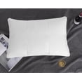thumbnail image 4 of Royal Elite White Goose Down Chamber Lock Pillow, 4 of 5