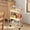 YE, variant on Amzcrzy Plasti C Trolley Kitchen Storage Cart 3-Layer Black with Armrests Storage Rack Bathroom Toilet Toiletries Storage Cart Organization and Storage Dorm Room Essentials Room Decor Home Decor