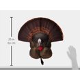 thumbnail image 4 of Flextone Leurre de Chasse Portable Échelle Tonnerre, 4 of 7
