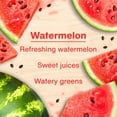 thumbnail image 4 of LITTLE TREES air freshener Vent Wrap Watermelon 4-Pack, 4 of 9