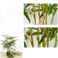 thumbnail image 3 of Bingirl Artificial Bamboo Tree, Artificial Trees In Pot With Lifelike Trunk And Silk Leaves, Faux Bamboo Tree Plants For Home Office Restaurant Indoor Outdoor Decor, 3 of 7