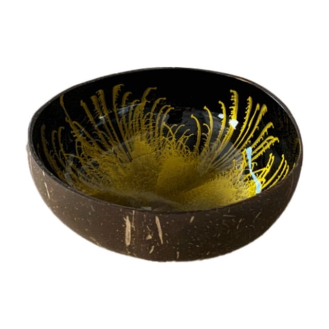 Harpily Prime Deals of The Day Today Only, Dinnerware Coconut Bowls Decorative Bowl For Keys For Entryway Table Candy Bowl Decorative Bowls For Home Decor Coconut Storage Bowl For Candy Keys