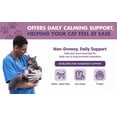 thumbnail image 4 of Liquid-Vet Feline Calm & Content Stress and Anxiety Relief for Cats, Chicken Flavour, 8oz, 4 of 8