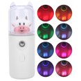 thumbnail image 4 of Wchiuoe Cute Cartoon Animal Facial Mist Sprayer Home Office Skin Moisturizing Spray USB, 4 of 8