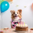 thumbnail image 4 of VONKY Pet birthday drool bib scarf, 4 of 9