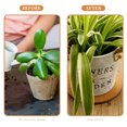 thumbnail image 2 of Tapis en Liège pour Plantes en Chocolat pour Usage Intérieur Empêche les Fuites d'Eau et les Égratignures 10 Pcs, 2 of 9