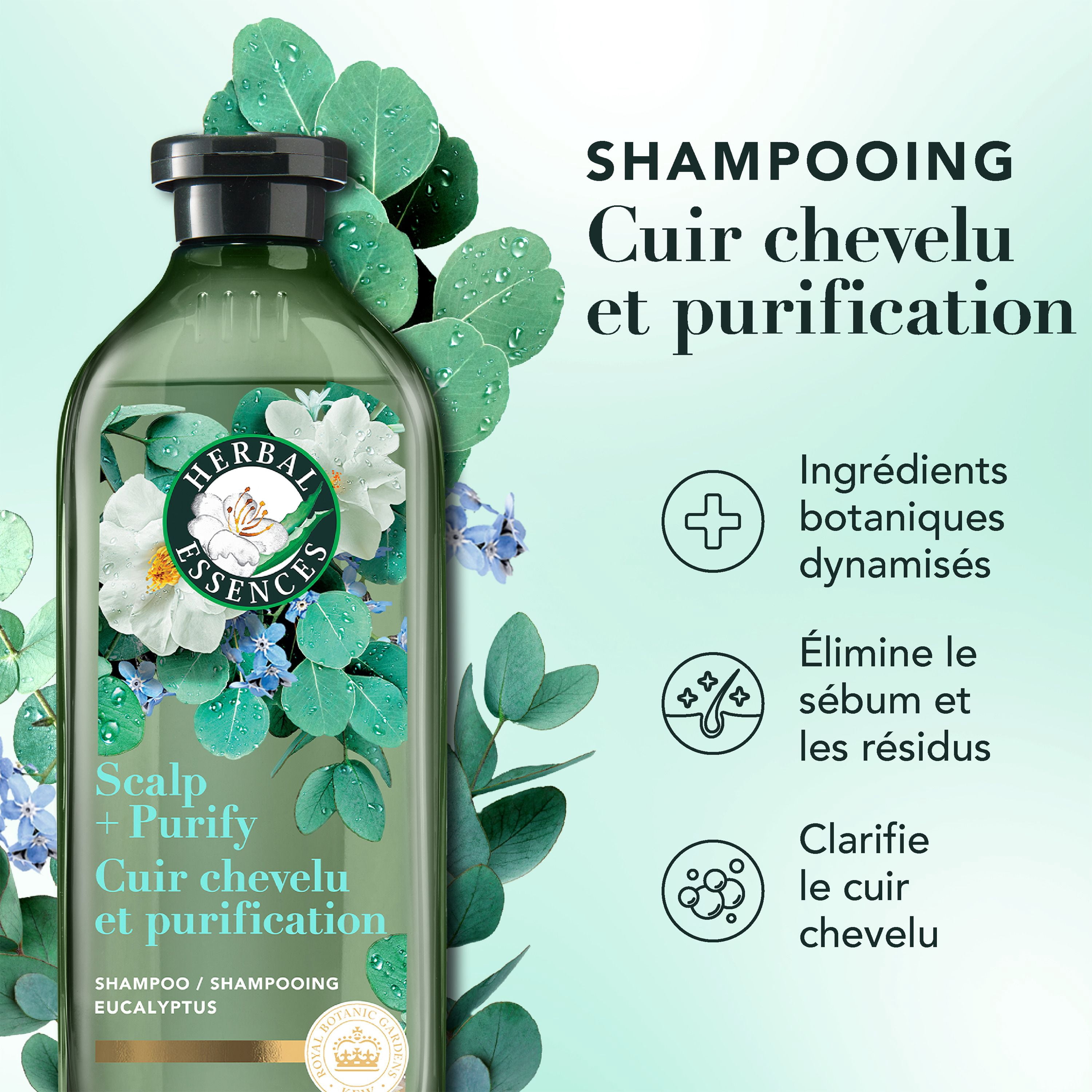 Shampooing Herbal Essences Cuir Chevelu et Purification, Nettoie Le Cuir Chevelu Pour Des Cheveux Doux, Eucalyptus, Sans Sulfate, 400 mL