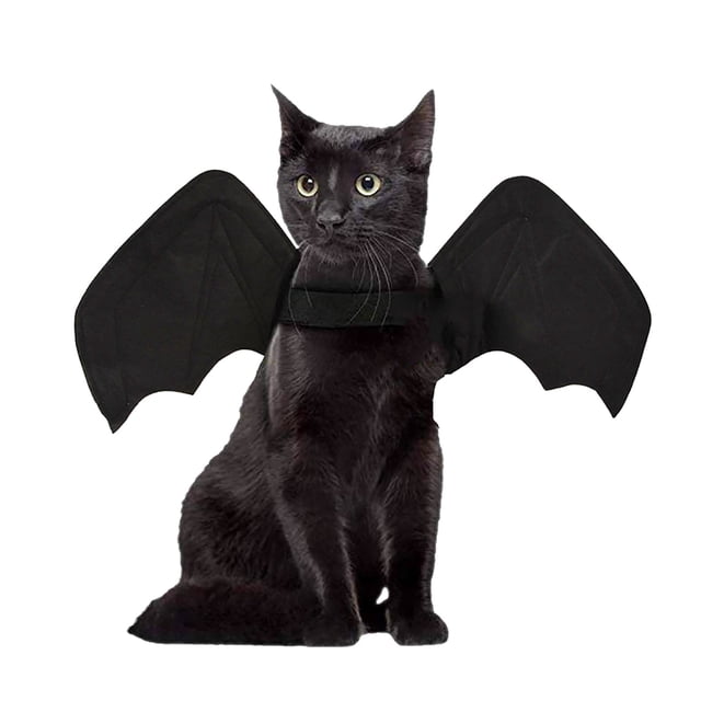Pet Halloween Bat Costume Chest Back Creative Cat Dog Small Dog Costume featuring a unique bat wing design in black. Made of soft, breathable cloth material, it is comfortable for pets and easy to wear. Suitable for cats and small dogs, this costume adds a strong Halloween atmosphere and is available in sizes S, M, and L. The sleek and durable design ensures long-lasting use, making it a great gift for your furry friends.