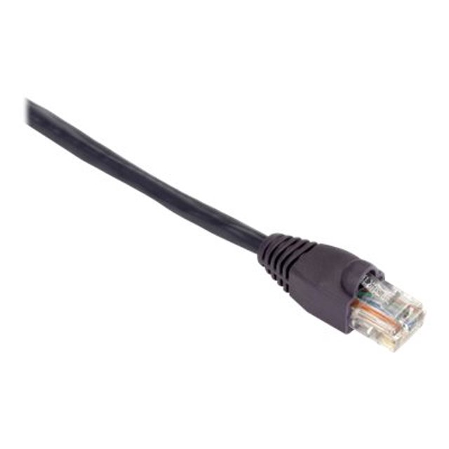 Black Box GigaBase 350 - Câble Patch - RJ-45 (m) à RJ-45 (m) - 15 Pieds - UTP - CAT 5e - Démarré, Sans Accroc, Strié - Violet
