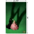 thumbnail image 2 of Wicked - Fiche d'introduction, 2 of 4
