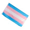 thumbnail image 4 of 1 Pce Drapeau Arc-en-Ciel en Polyester pour Transgenre Mode Grand Durable Drapeau de Fierté Bannière Extérieure, 4 of 8