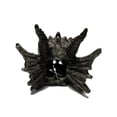 thumbnail image 4 of Penn-Plax Dragon Skull Gazer Aquarium Resin Ornament, Large, 5 in, 4 of 6