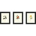 thumbnail image 1 of Simplicity Art Encadré Floral Botanique et Fleurs P, 1 of 6