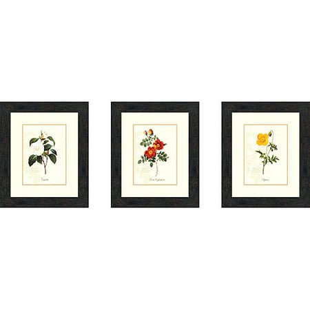 Simplicity Art Encadré Floral Botanique et Fleurs P