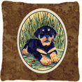 thumbnail image 1 of Carolines Treasures SS8107PW1414 Rottweiler Indoor & Outdoor Fabric Decorative Pillow, 1 of 4
