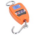thumbnail image 3 of Hanging Weight Scale, 200kg Load Bearing Accurate Measurement Digital Hanging Scale  For Fishing, 3 of 8