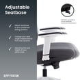thumbnail image 2 of EFFYDESK AeryChair Heavy-Duty Executive Home Office Chair Ergonomic Desk Chair with Lumbar Support 4D Armrest Adjustable Task Chair (Pearl White), 2 of 8