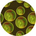 thumbnail image 1 of Ahgly Tapis Rond Lavable en Machine Intérieur Transitionnel Vert Pistache, 7 Pieds Rond, 1 of 7