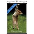 thumbnail image 3 of Célèbre chaton accroché là-bas Poster, 3 of 5