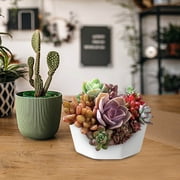 Cagogo Resin Succulents Planter, Large Thick Plastic Flower Pot for Plants, Imitation Ceramic Durable Plant Pot for Balcony Garden, Eco Friendly Indoor Outdoor Decorative Planter for Herbs Flowers