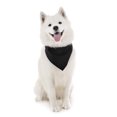 thumbnail image 1 of Jordefano Dog Cotton Bandanas - 6 Pack - Scarf Triangle Bibs for Small, Medium, 1 of 2