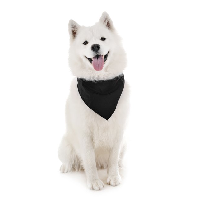 Jordefano Dog Cotton Bandanas - 6 Pack - Scarf Triangle Bibs for Small, Medium