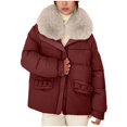 thumbnail image 1 of Jienlioq Manteau Matelassé d'Hiver pour Femme Veste à Capuche Décontractée Colorée à Manches Longues Rouge 2TG, 1 of 7