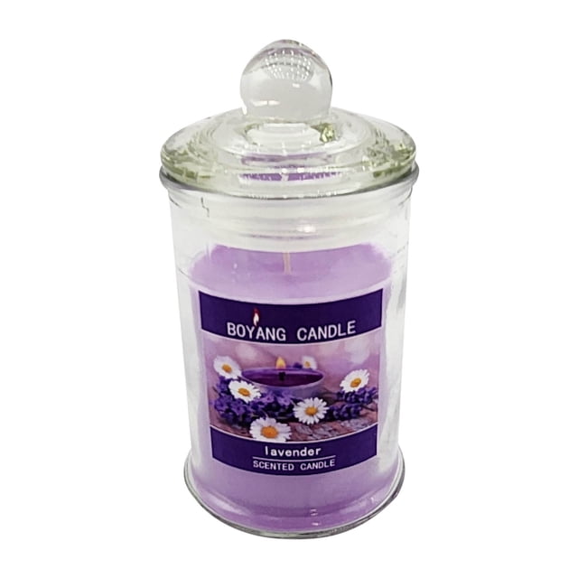 RXIRUCGD 1pc 90g Transparent Soy Wax Scented Candle In Clear Glass Jar, Suitable For Home Decoration And Romantic Gift