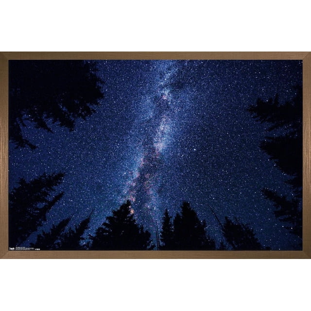 Affiche Murale Voie Lactée la Nuit, 14,725 Pouces x 22,375 Pouces Encadrée, Montrant la Galaxie de la Voie Lactée Verticalement à Travers un Ciel Nocturne Étoilé Bleu Foncé avec des Pins Silhouettés au Bas, Imprimée avec une Finition Satinée de Qualité Supérieure dans un Cadre en Bois Léger avec Accroche-Dents de Scie, Idéale pour la Déco Murale de la Maison Ou du Bureau et Convient aux Chambres, aux Dortoirs Ou à la Décoration de Fête.