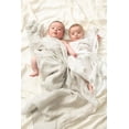 thumbnail image 2 of Aden + Anais™ Essentials 2-Pack Swaddles - Cotton Muslin - Dusty, 2 of 9