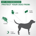 thumbnail image 4 of Advantage II Flea Treatment for Small Dogs (2 doses), 4 of 7