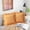 Yellow Size C V9, variant on Modern Lumbar Support Throw Pillow 52x52cm, Premium Polyester Decorative Cushion with Non-Woven Core, Comfortable Sofa Bed Living Room Accent Pillow Machine Washable, Yellow
