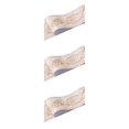 thumbnail image 1 of Decodeary Wood Marbling SelfAdhesive Skirting Line Exquisite Workmanship And Retro Fashion PVC Waterproof Waist Line For Wall PVC brown peony 3Set, 1 of 6