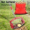 thumbnail image 3 of Nut Gatherer, Ergonomic Pecan Picker Adjustable Long Handle Stainless Steel Labor Saving Easy Operation  For Garden, 3 of 7