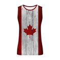 thumbnail image 3 of Birdeem Men Casual Fashion Gradation Printing Pullover Round Neck Sports Tank Tops, 3 of 9