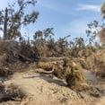 thumbnail image 5 of Meitianfacai 5 In 1 Ghillie Suit, 3D Camouflage Hunting Apparel Including Jacket, Pants, Hood, Carry Bag, 5 of 5